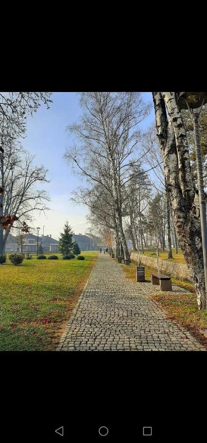 Апартаменты Jednosoban Stan Centar Пирот Экстерьер фото